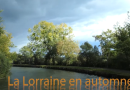 Navigation en Lorraine en automne
